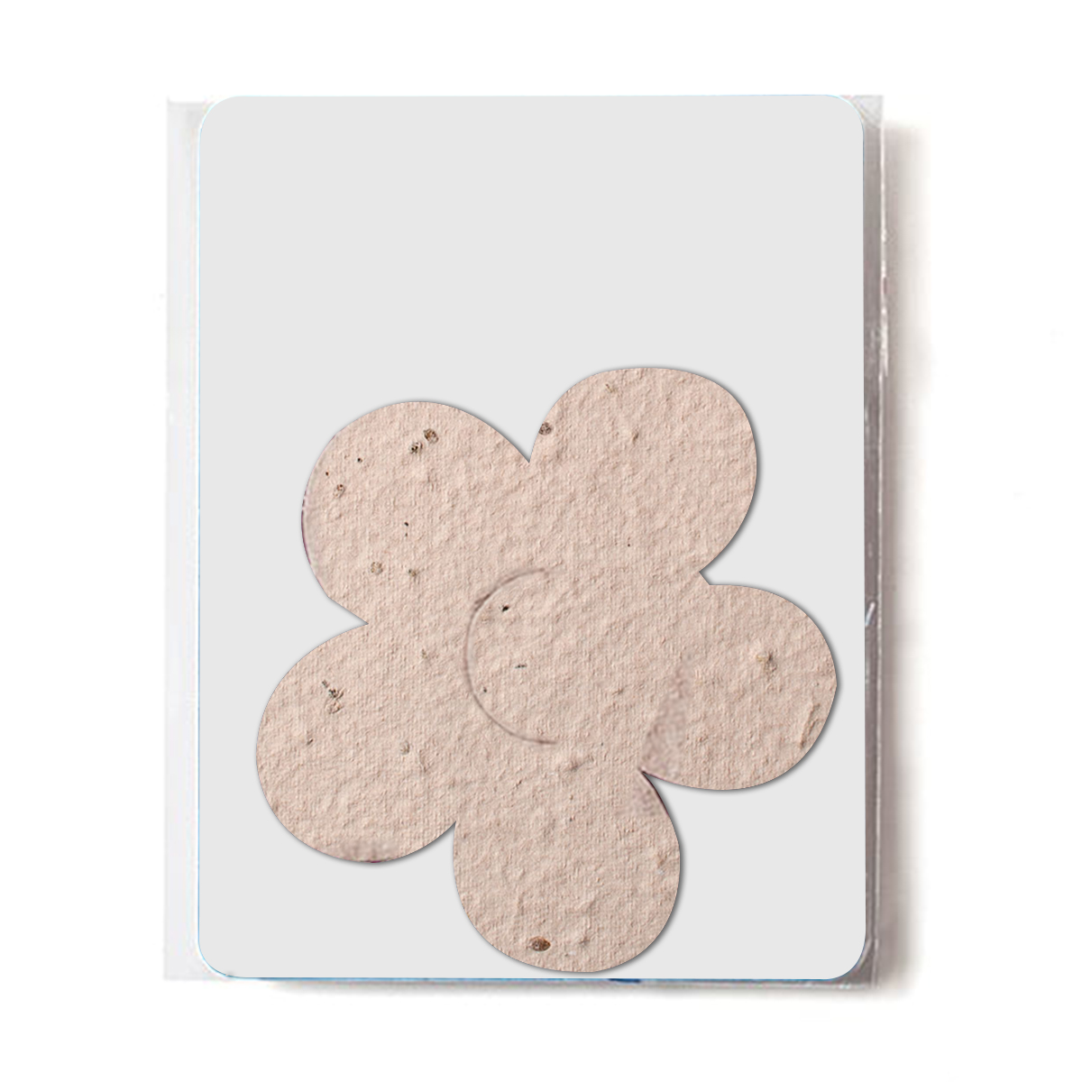 Bloomin® Flower Shaped Plantable Gift Pack